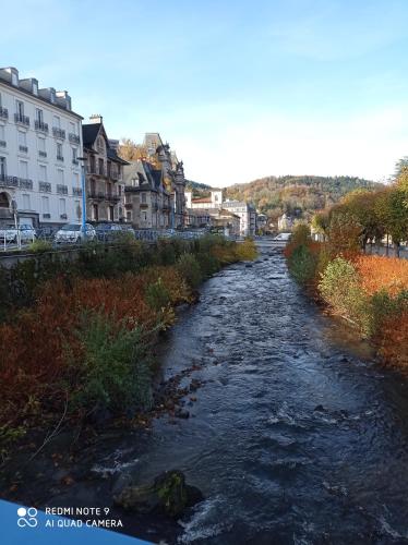 une rivière dans une ville avec des maisons et des bâtiments dans l'établissement Agréable T2 avec petite cour privative, à La Bourboule