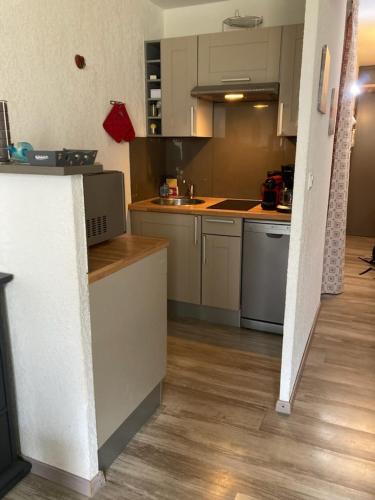 Il comprend une cuisine avec des appareils en acier inoxydable et du parquet. dans l'établissement Le Cocon Themnest, à La Mongie