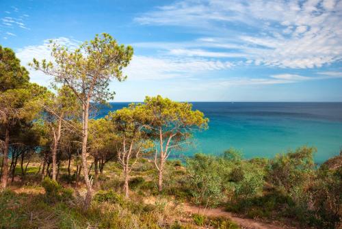 Residence Baia delle Palme – Photos 3