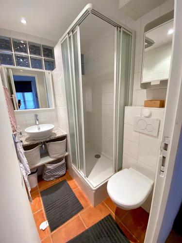 une salle de bain avec une douche, des toilettes et un lavabo dans l'établissement L'appartement Vaugirard, à Paris