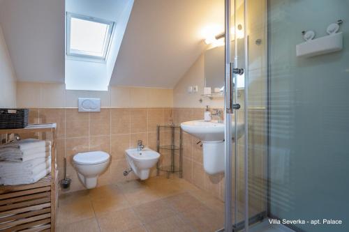 La salle de bains est pourvue de toilettes, d'un lavabo et d'une douche. dans l'établissement Apartmány Villa Severka, à Nový Smokovec