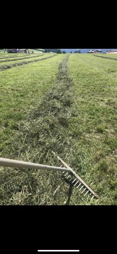 a field full of hay with a fence in it at Schneiderhof in Weerberg