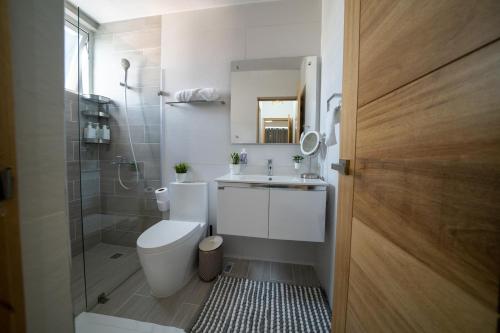 a bathroom with a toilet and a sink and a mirror at Sdq, Gym, Pool, 1br 2B, Downtown F7 in Santo Domingo