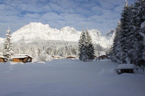 a snow covered field with trees and snow covered mountains at otto steiner appartements pension ellmau & wilder kaiser in Ellmau