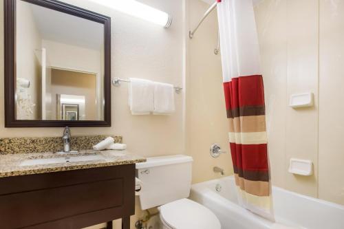 a bathroom with a sink and a toilet and a mirror at Red Roof Inn Winchester in Winchester