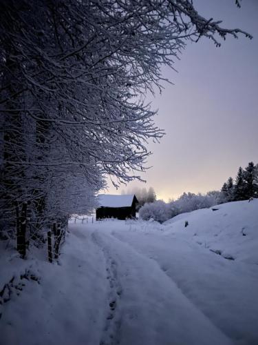 a snow covered road with a house in the distance at Schneiderhof in Weerberg