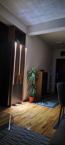 a living room with a potted plant on a wooden floor at Marinkovic stan na dan in Vranje