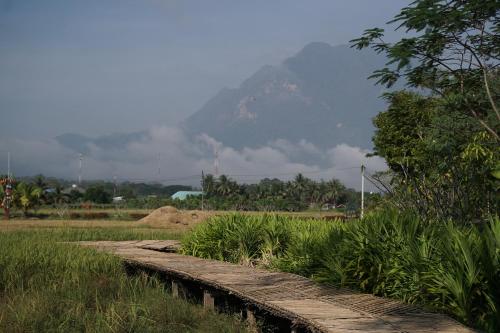 a wooden path in a field with a mountain in the background at Art House at Chiangdao - Lake House in Chiang Dao
