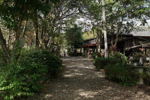 a dirt road next to a building and trees at Art House at Chiangdao - Lake House in Chiang Dao