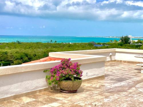 a potted plant sitting on a balcony overlooking the ocean at New Listing La Vista Azul Spacious 1 Bedroom Condo in Turtle Cove