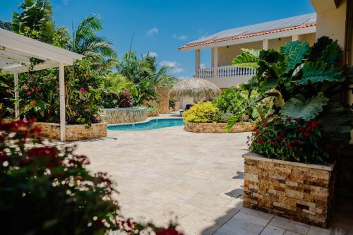 une maison avec une terrasse et une piscine dans l'établissement Adorable 1-bedroom-apartment 2 km from Eagle beach, à Palm-Eagle Beach