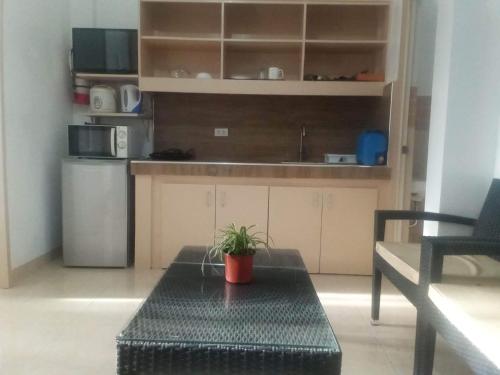 roślina doniczkowa siedząca na stole w kuchni w obiekcie Kendall Place Apartment w mieście Cagayan de Oro
