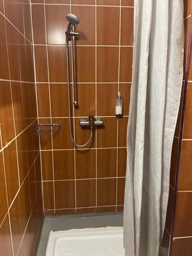a bathroom with a shower with a shower curtain at Pensiunea Noemi in Braşov