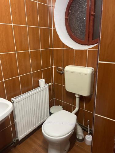 a bathroom with a toilet and a sink at Pensiunea Noemi in Braşov
