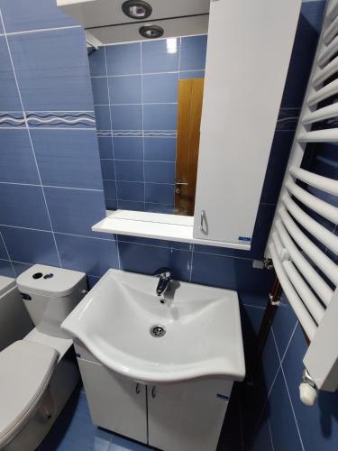 La salle de bains est pourvue d'un lavabo blanc et de toilettes. dans l'établissement Sobe OLGA, à Čačak