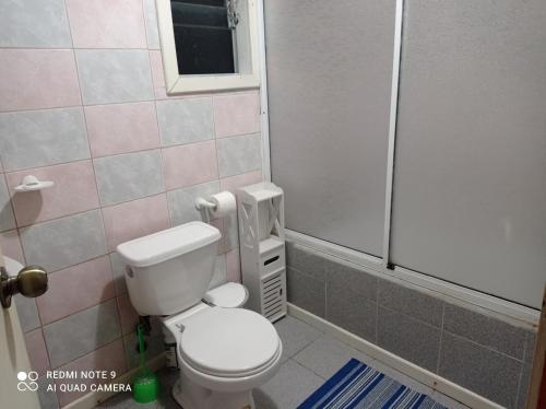 un piccolo bagno con servizi igienici e doccia di Cabañas Ventisqueros a La Junta