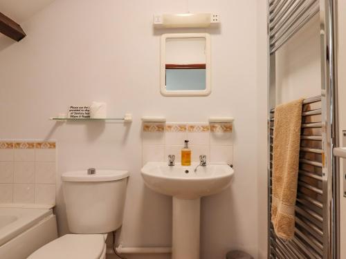 a white bathroom with a toilet and a sink at Oak Leaves Cottage in Newton Abbot