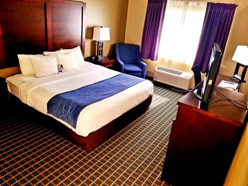 Postel nebo postele na pokoji v ubytování Comfort Inn Fort Collins North