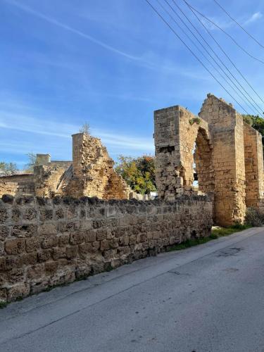 Fotografie z fotogalerie ubytování Grandmother's House v destinaci Famagusta