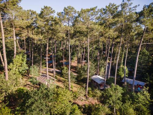 Huttopia Landes Sud – Photos 4