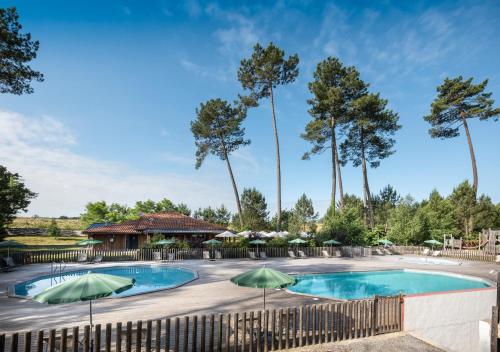 une piscine avec des parasols et des palmiers dans l'établissement Huttopia Landes Sud, à Saint-Michel-Escalus