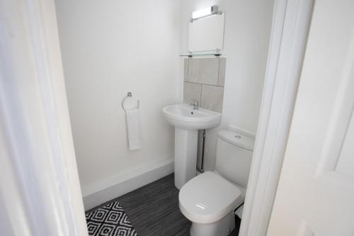 a small bathroom with a toilet and a sink at 1 Bodwen Villas in Llangollen