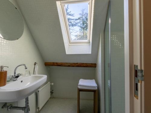 uma casa de banho com um lavatório e uma janela em De Jager en de gelagkamers em Gouwelaar