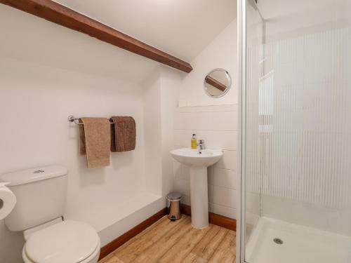 a bathroom with a toilet and a sink and a shower at Acorn Cottage in Newton Abbot