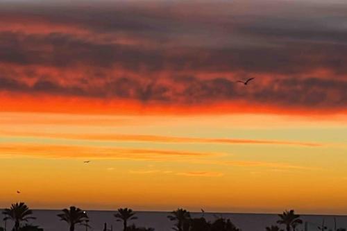 Vinaros Coquet appartement vue mer