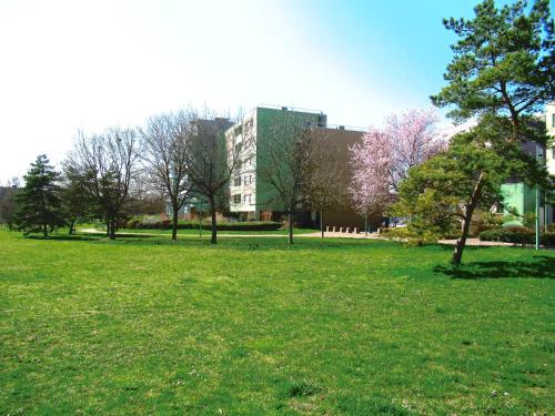 un parc avec des arbres et un bâtiment en arrière-plan dans l'établissement BELLEVUE, à Quetigny