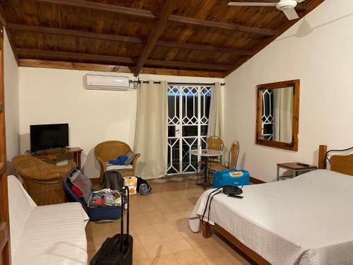 a bedroom with a bed and a tv and a window at Chez Henri in Pointe d'Esny