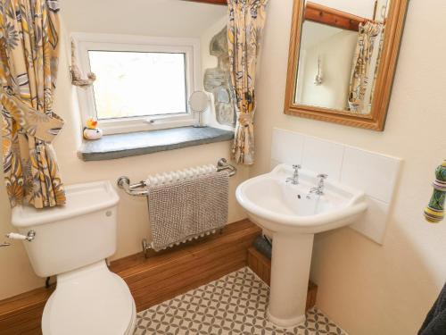 a bathroom with a toilet and a sink at 2 Yr Hen Felin in Haverfordwest