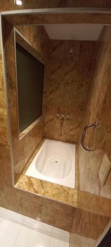 a bathroom with a tub with a shower and a mirror at Ayres del Rio in Formosa
