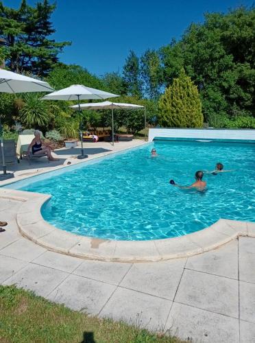 un groupe de personnes nageant dans une piscine dans l'établissement Domaine Harmonie, à Crespin