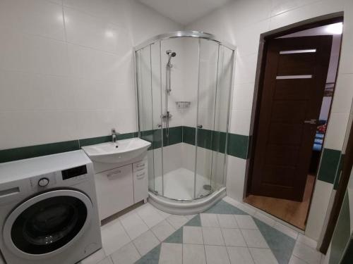 a bathroom with a shower and a washing machine at Apartmán v Krušných horách-free parking in Jáchymov