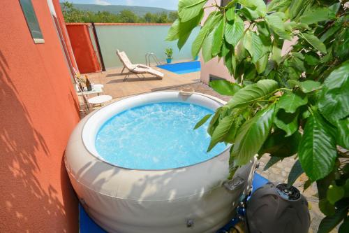 een zwembad in een vat naast een plant bij Villa Kata in Sičane