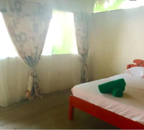 a bedroom with a bed with a green object on it at Amazon Lodge and Expeditions in Iquitos
