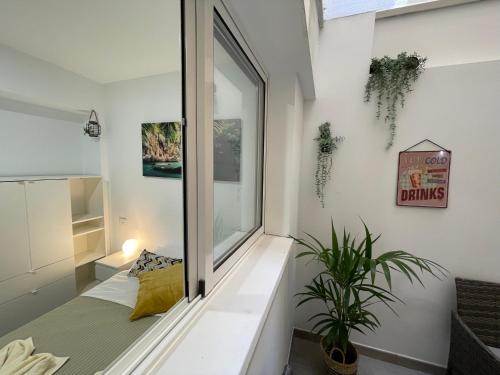 Habitación con ventana, cama y planta en CoLiving El Toro, en Las Palmas de Gran Canaria