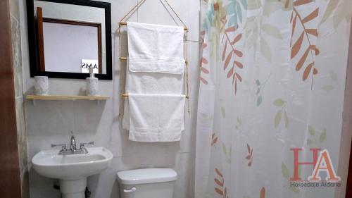 ein Badezimmer mit einem Waschbecken, einem WC und einem Spiegel in der Unterkunft Hospedaje Aldana - Posada SOL en zona natural in Tuxpan de Rodríguez Cano