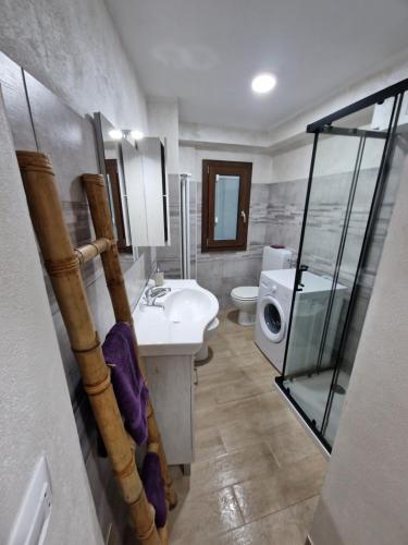 ein Bad mit einem Waschbecken, einem WC und einer Dusche in der Unterkunft CASA BAT in Mantello