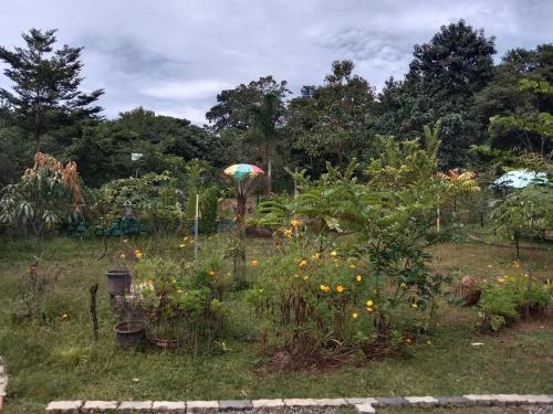 APKA ECOvillage – Photos 5