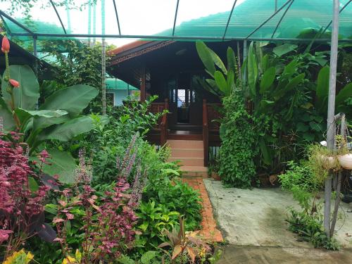 un jardín frente a una casa con plantas en Thai authentic wooden house at Kata en Kata