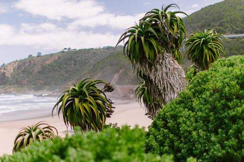 Afbeelding uit fotogalerij van Jakkalsbessie Breeze - full inverter in Wilderness