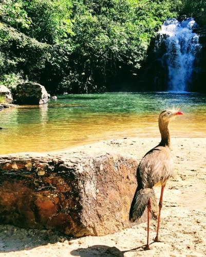 Micasa Sucasa Pirenópolis – Photos 4