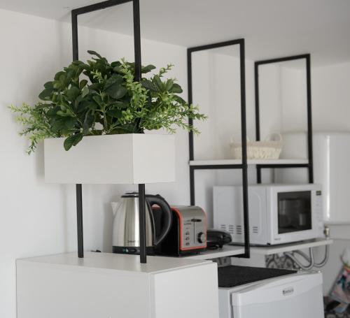 una sala de estar con dos espejos y una planta en un estante en Brooklyn Apart By JlD Boutique en Villa María