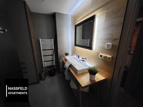 a bathroom with a sink and a mirror at Haus Anja NASSFELD APARTMENTS in Sonnenalpe Nassfeld