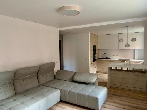 a living room with a couch and a kitchen at Jaunimo Apartamento in Alytus