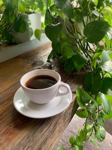 uma xícara de café em uma mesa ao lado de uma planta em Dos Patios Querétaro Curamoria Collection em Querétaro