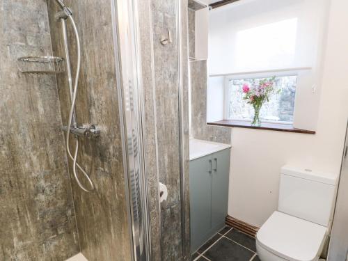 uma casa de banho com um chuveiro, um WC e uma janela. em 56 The Green em Richmond
