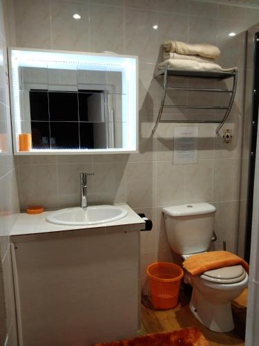 a bathroom with a sink and a toilet and a mirror at Villa Mancina in Capesterre-Belle-Eau